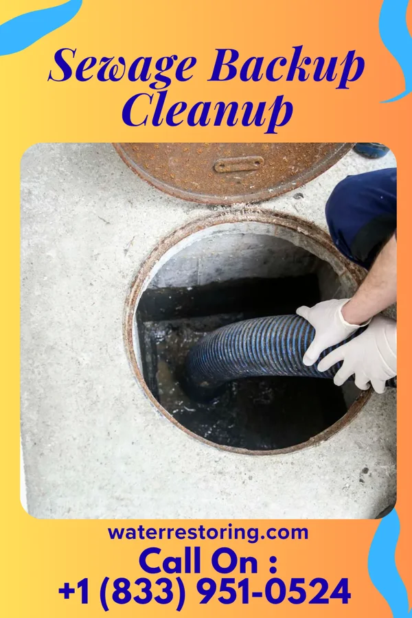Sewage Backup Cleanup in Blanket, TX
